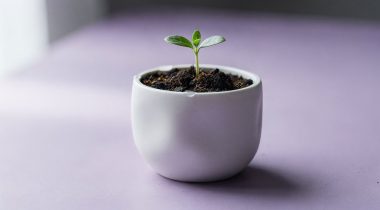 WooCommerce dla początkujących – Jak zacząć swój sklep internetowy?