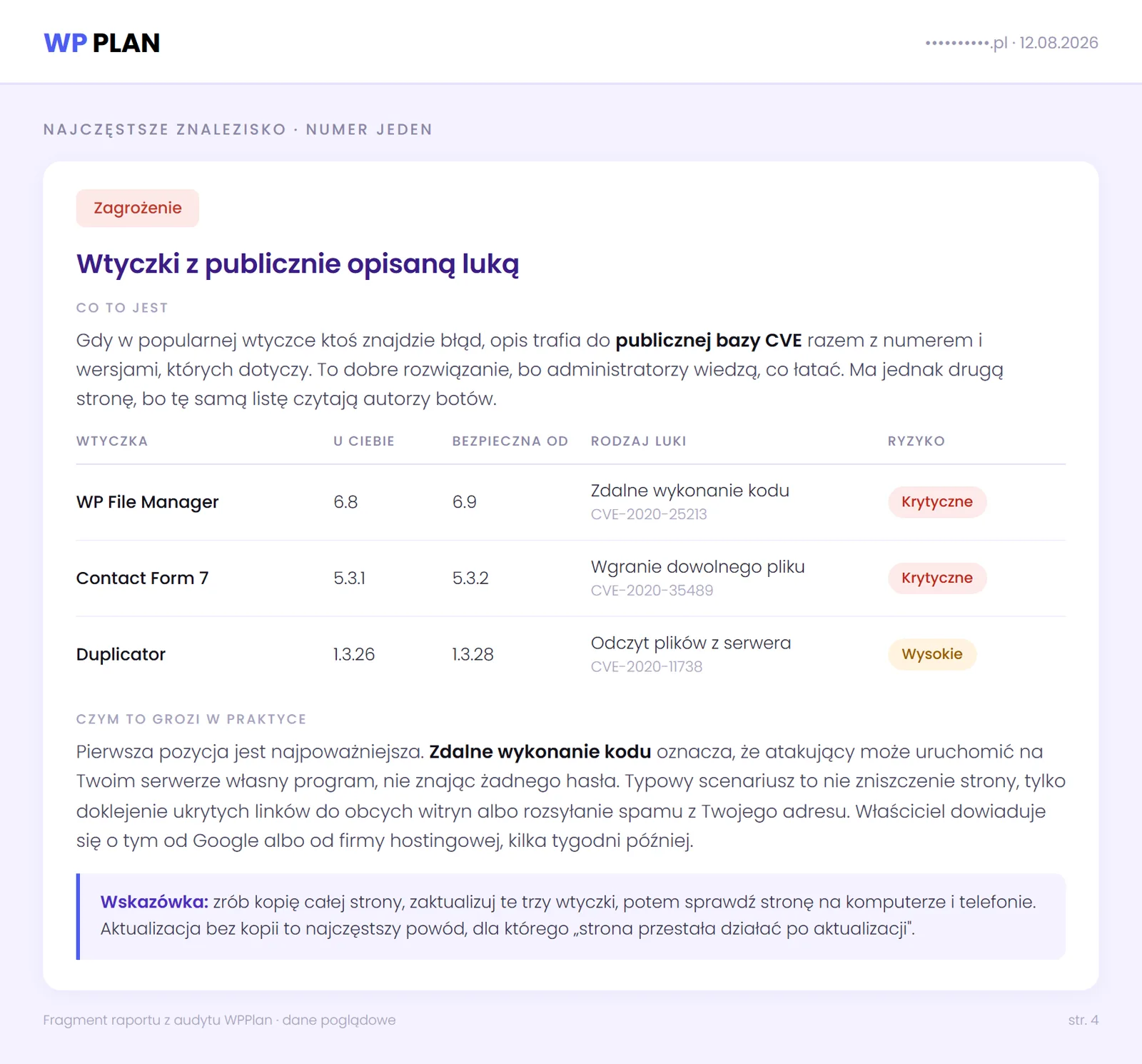 Tabela wtyczek WordPressa z numerami CVE, wersją zainstalowaną i poziomem ryzyka