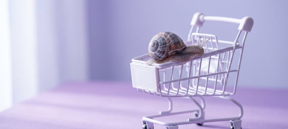 Wolny koszyk i checkout, czyli gdzie WooCommerce traci sekundy